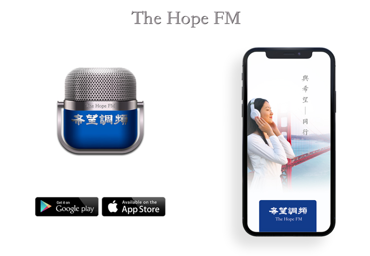 Zluck solutions - Hope-FM2